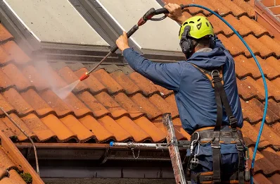 Démoussage et hydrofuge de toiture à Douadic